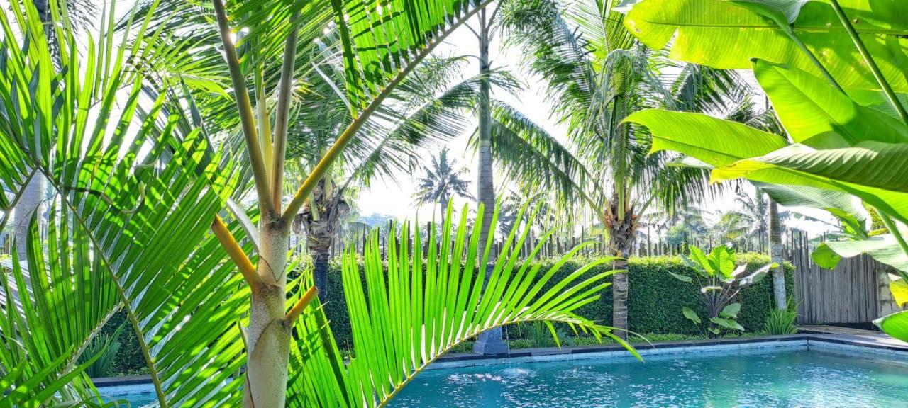 Galang Hari Villa Ubud  Exterior photo