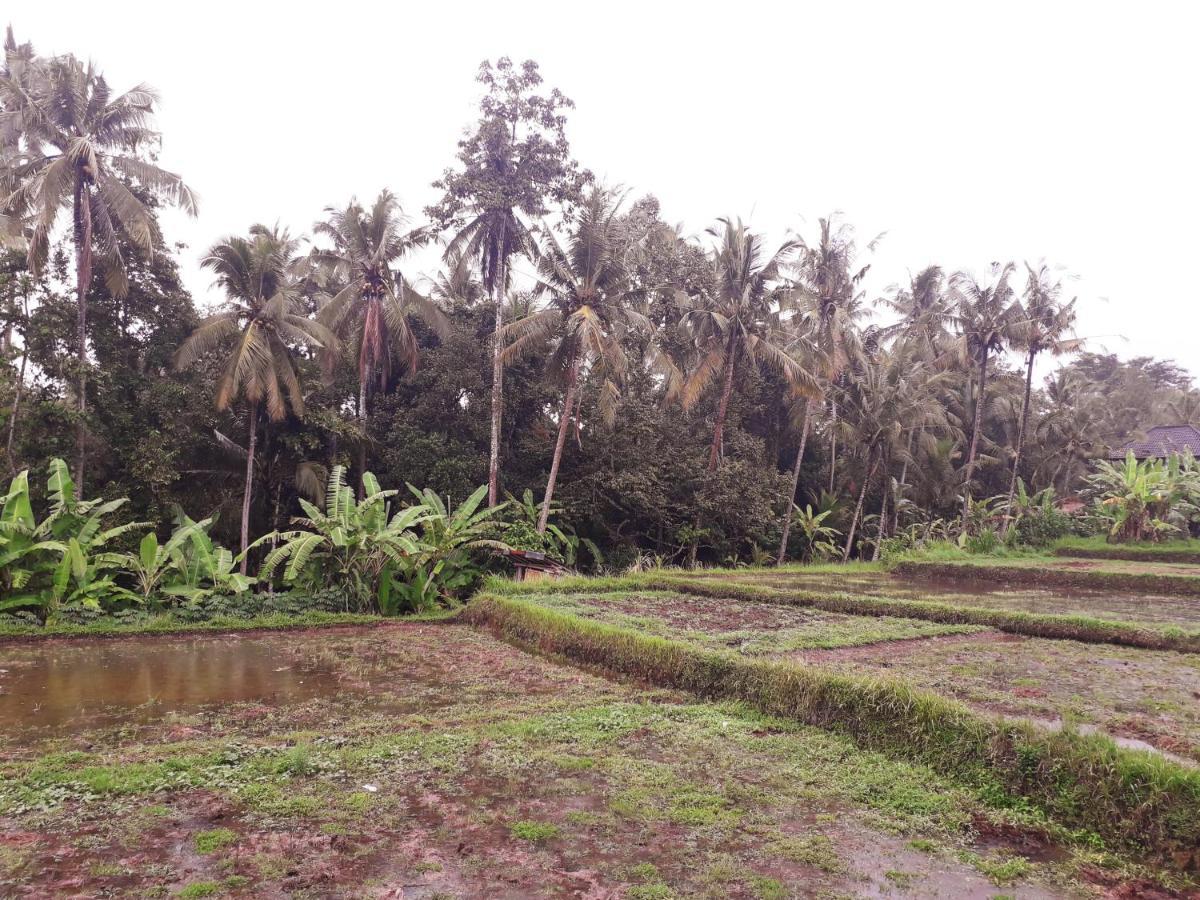 Galang Hari Villa Ubud  Exterior photo